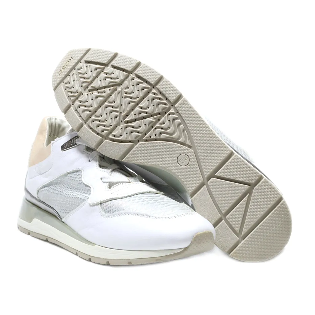 Geox Sport Shoes Leather White Colour For Women