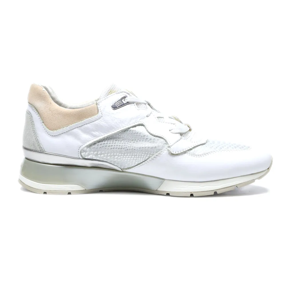 Geox Sport Shoes Leather White Colour For Women