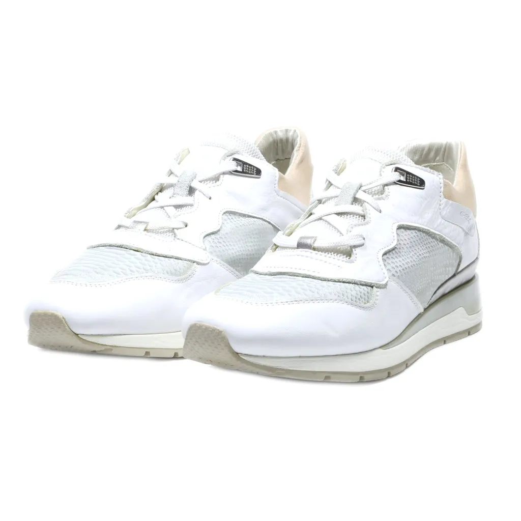 Geox Sport Shoes Leather White Colour For Women